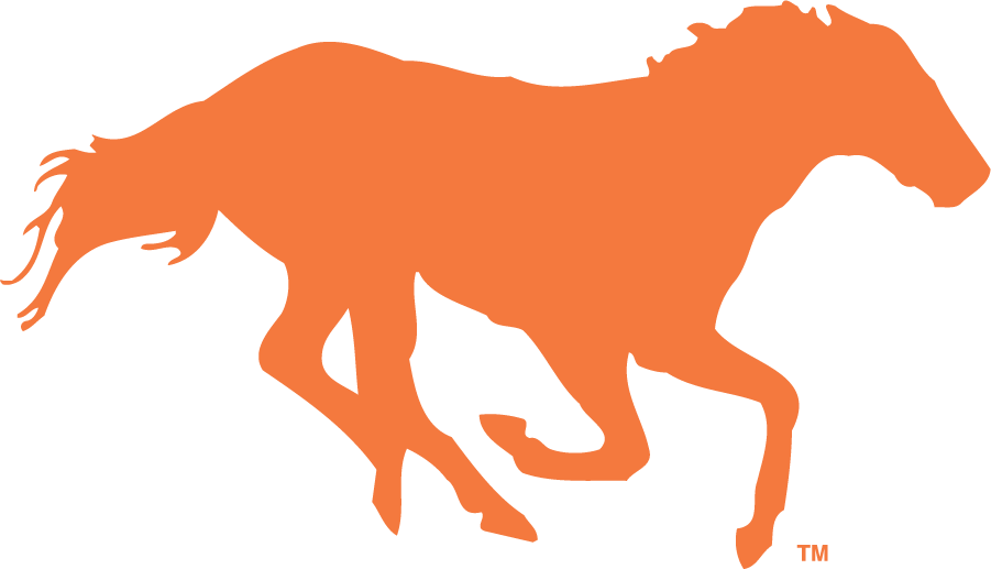 Boise State Broncos 1987-2002 Secondary Logo diy iron on heat transfer
